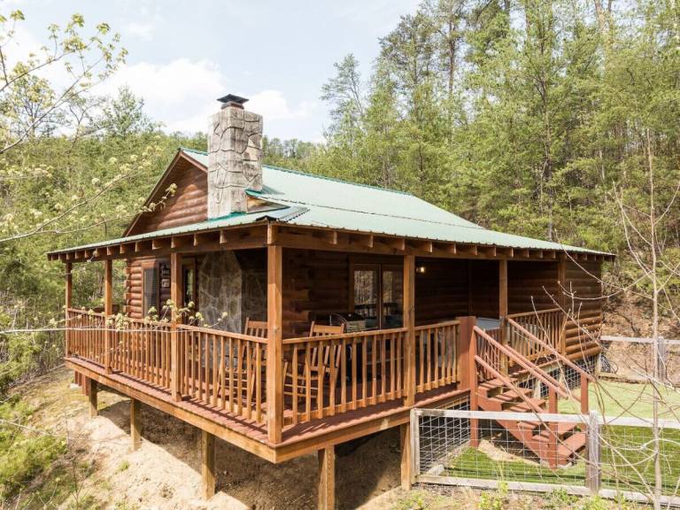 Cabin Townsend