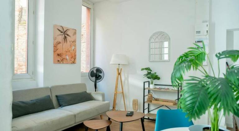 Rental apartment with terrace | Next to Capitole de Toulouse in Toulouse