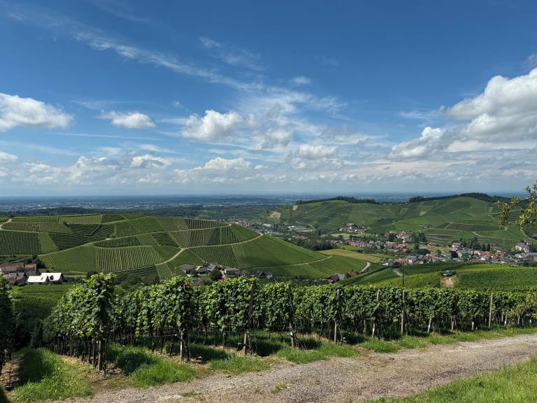 Ferienwohnung  Durbach