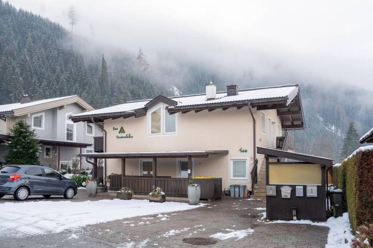 Ferienhaus in Hollersbach im Pinzgau für max. 4 Gäste