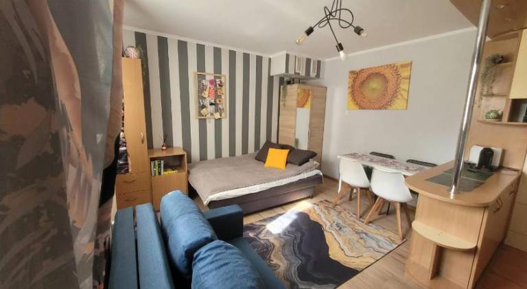 Apartment with 1 room for 3 persons — photo 2