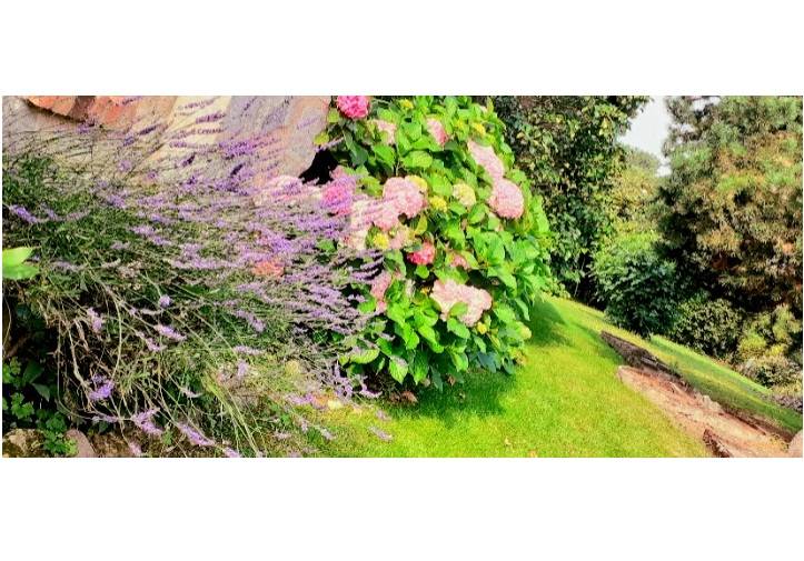 foto10