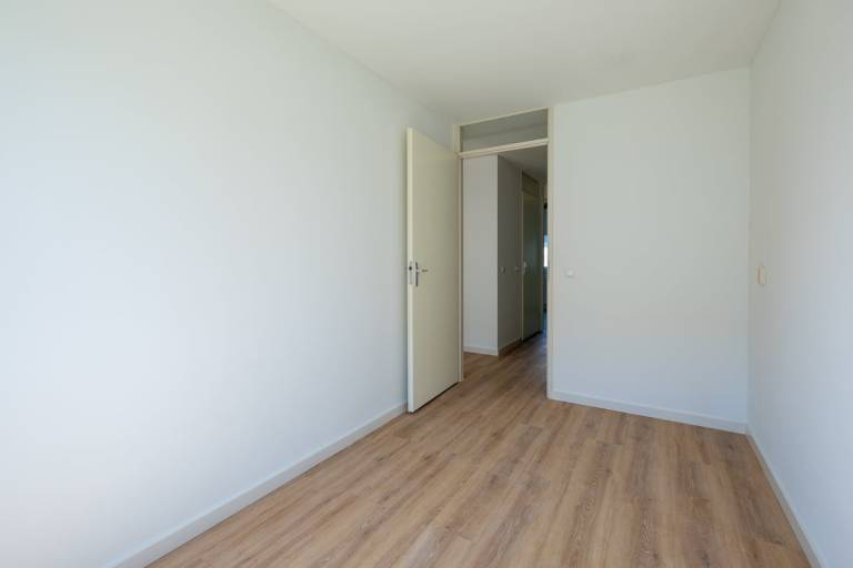 foto8