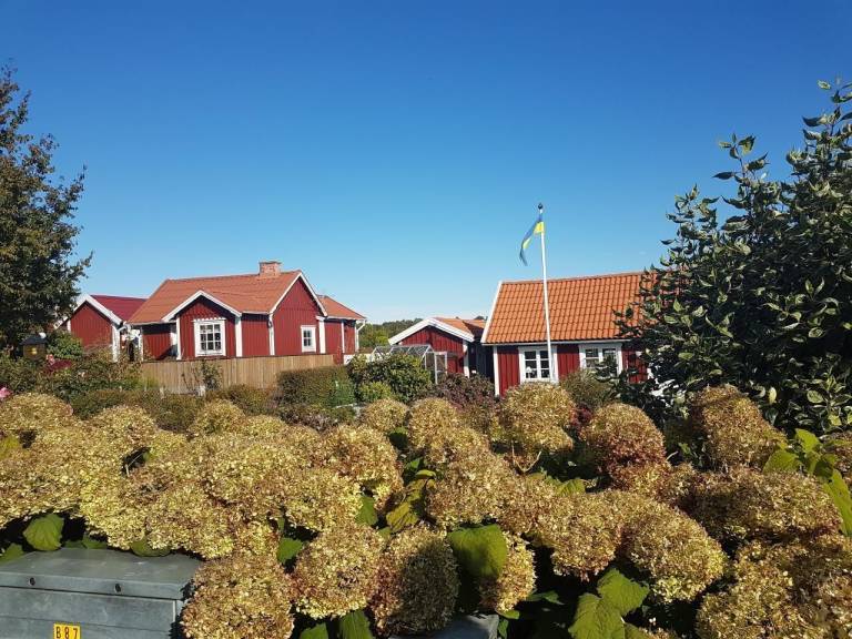 foto26