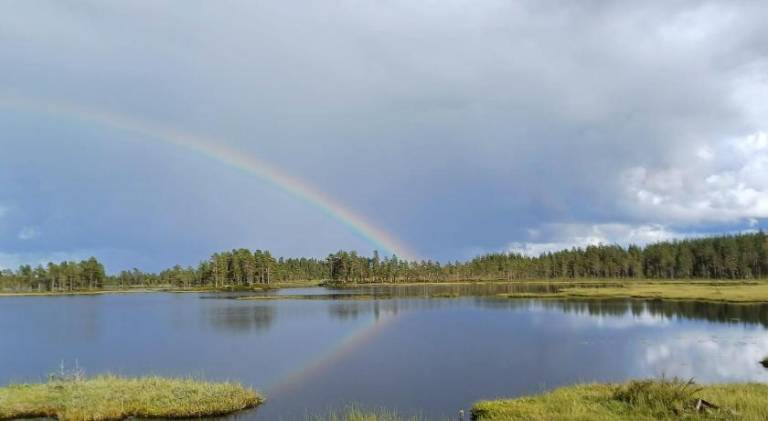 Pleasant vacation home | Pets are welcome — photo 4