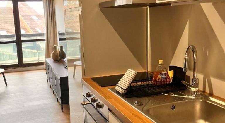 Holiday apartment with pool | Ski nearby | Pet-friendly — photo 5