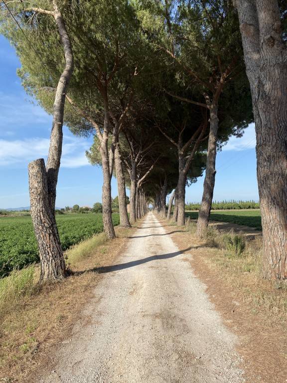 Camera privata Principina A Mare
