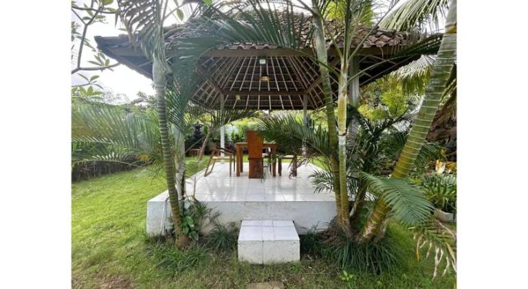 Villa with pool — photo 5