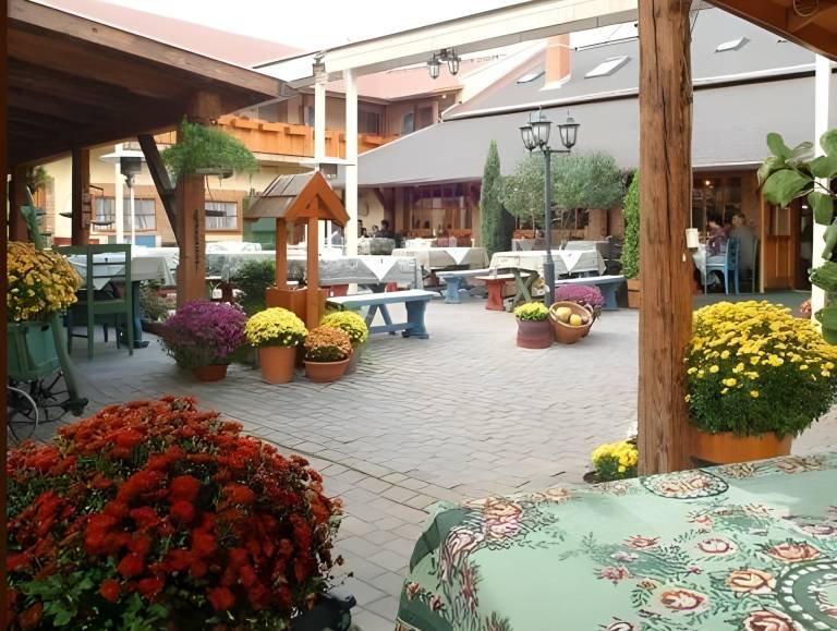 Szarcsa Hotel in Szekesfehervar