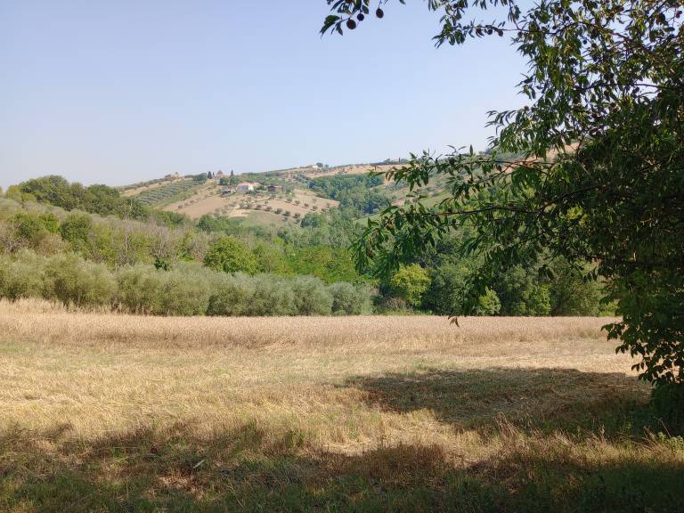 foto27