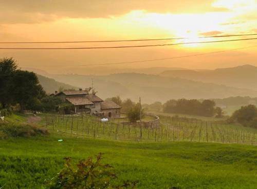 Bed & Breakfast Langhirano