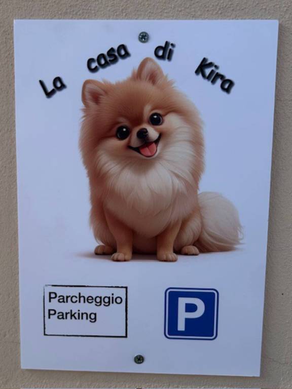 foto39