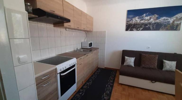 Apartment with 2 rooms for 5 persons — photo 4