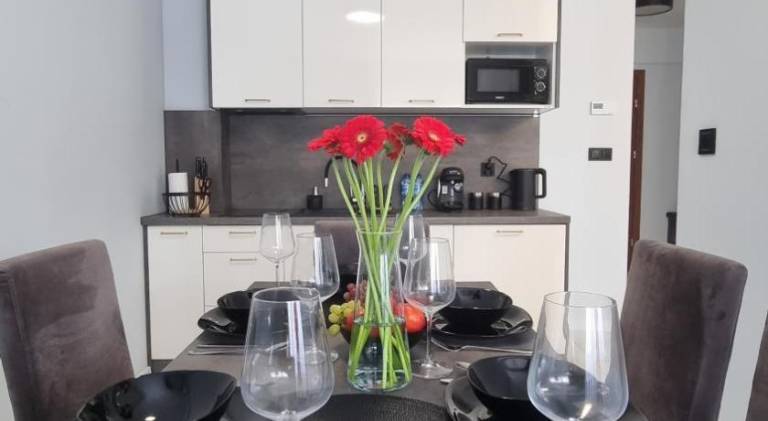 Holiday apartment with patio in Katowice