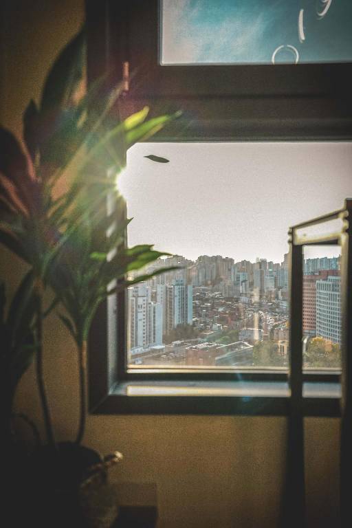 foto23