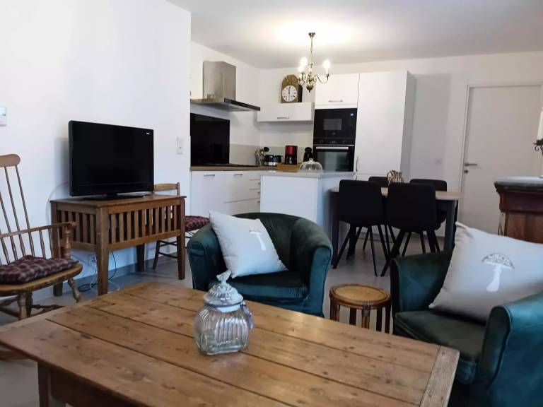 Apartment with terrace — photo 4