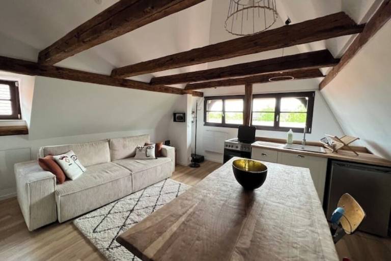 Appartement Sélestat