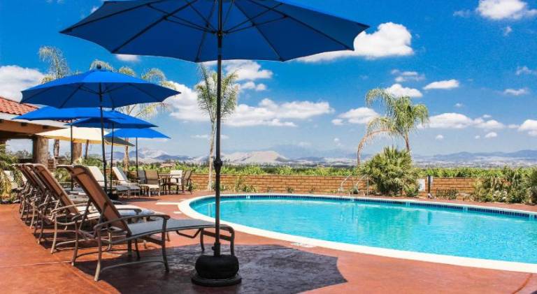 Carter Estate Winery and Resort — photo 4