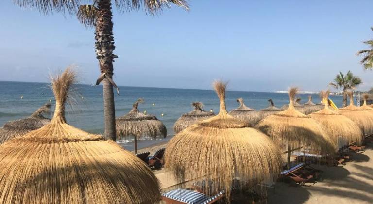 Pleasant holiday apartment | Close to the beach | Pet-friendly — photo 4