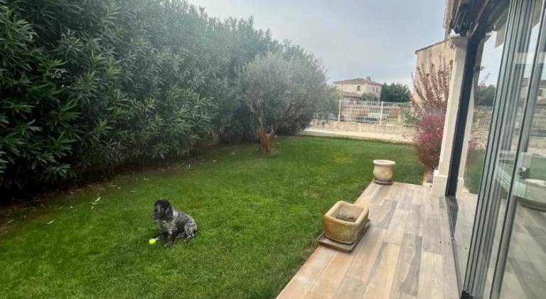 foto48