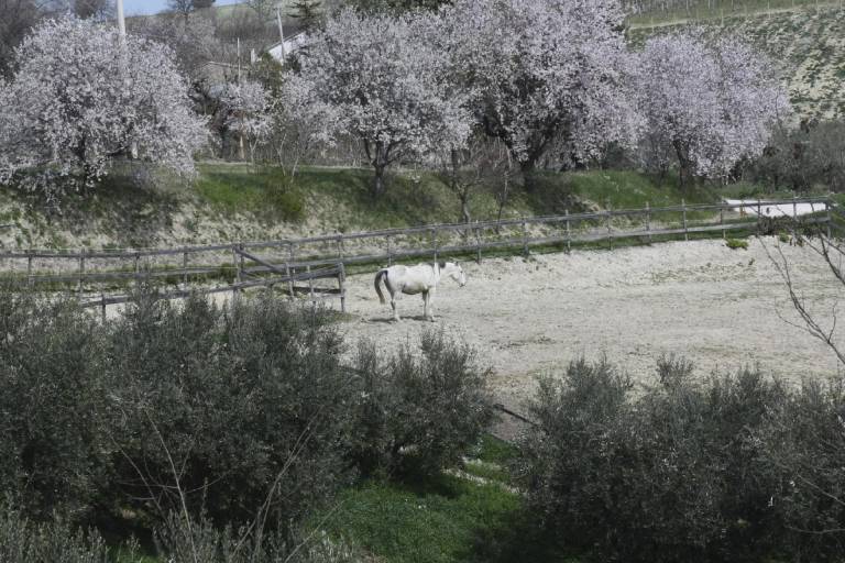 foto38