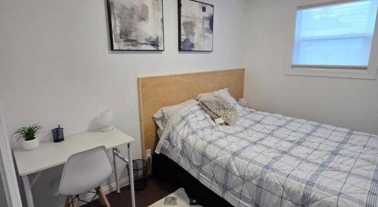foto19