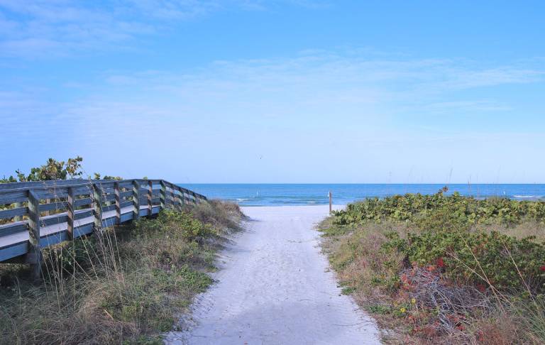 Cabin  Indian Rocks Beach