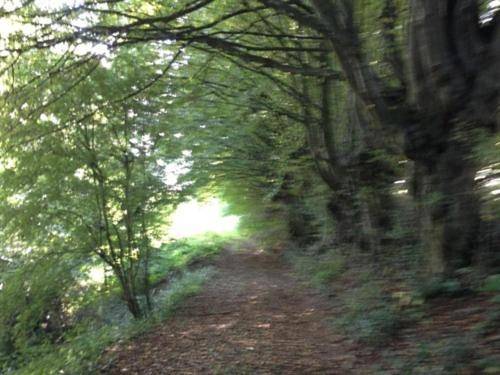 foto33