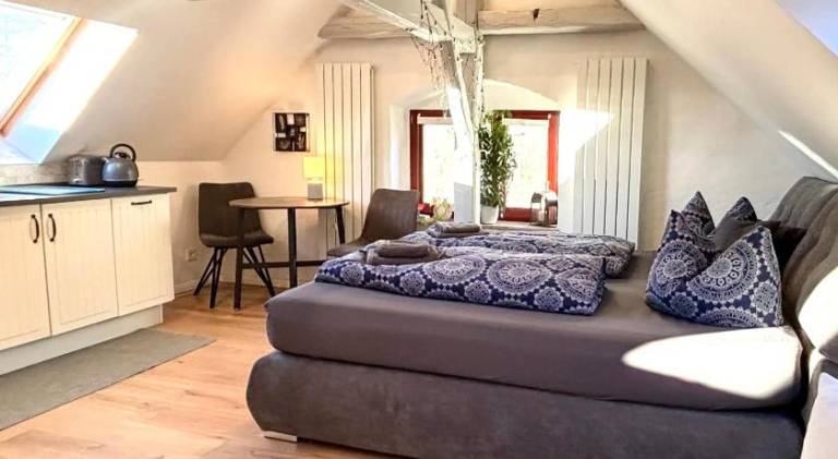 Charming holiday apartment | Pets allowed in Meissen