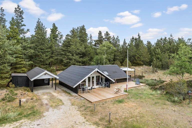 Ferienhaus mit Hund in Ho für max. 3 Gäste