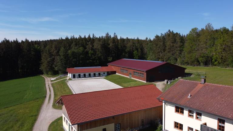 foto13