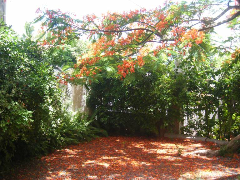 foto11