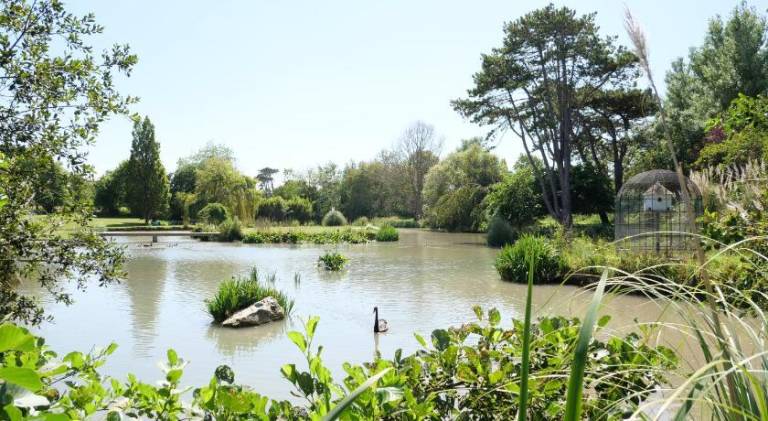 SUITE Souplex Chateau Cote de Nacre — photo 4