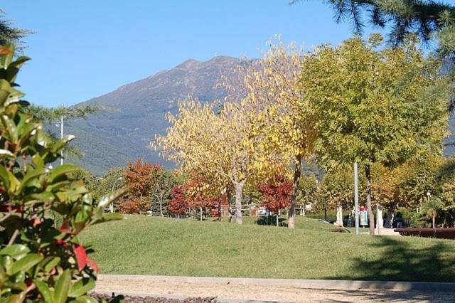 foto11
