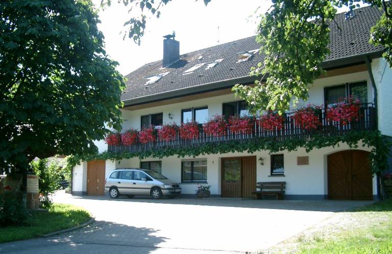 foto11