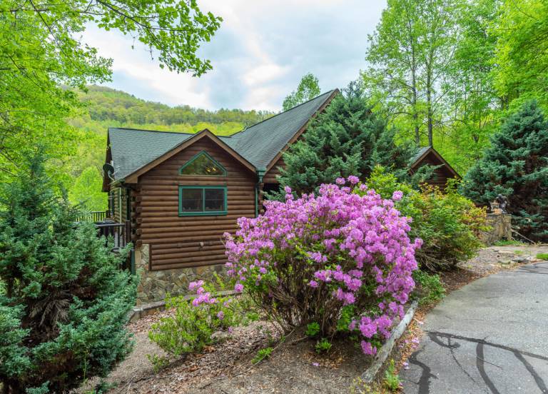 House  Black Mountain