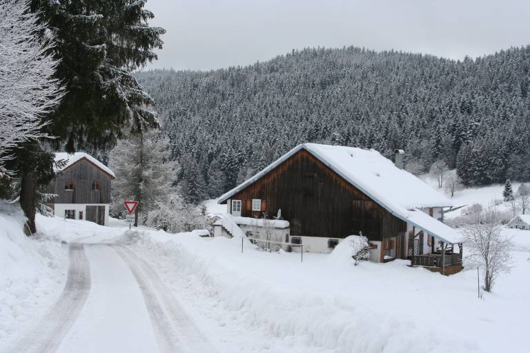 Child-friendly house with sauna, patio & garden | Mountain view | Pets are welcome in Gérardmer