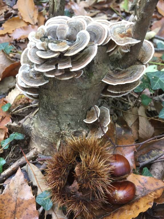 foto15