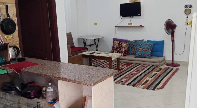 Beautiful rental apartment | Pets are welcome — photo 2