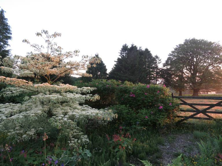 Family-oriented beautiful cottage with garden & patio | Pets are welcome — photo 3