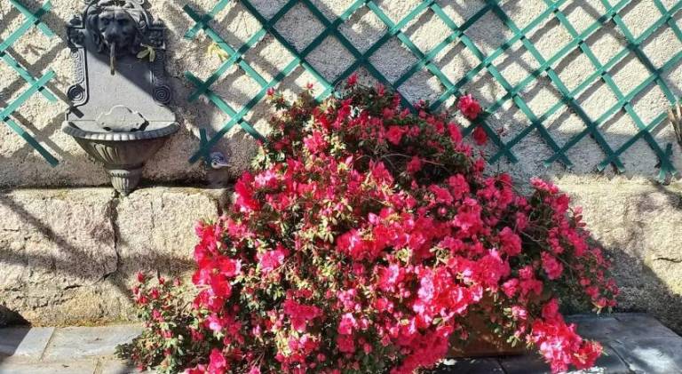 foto36