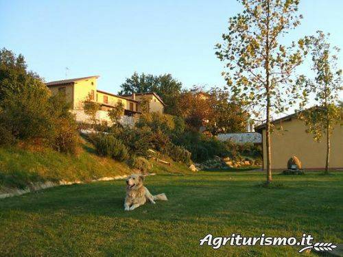La Vecchia Fattoria: Agriturismo La Vecchia Fattoria Camera tripla — photo 3