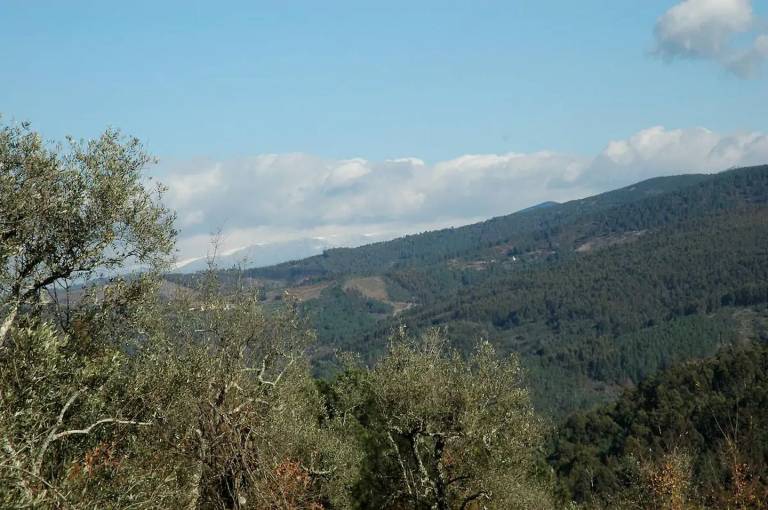 foto19