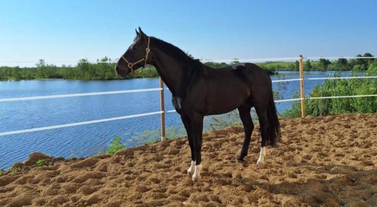 Wonderful farm | Pets allowed — photo 4