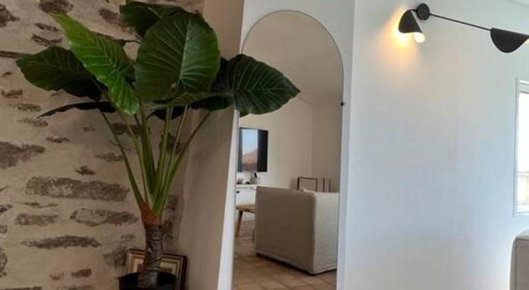 Lovely apartment | Dogs allowed — photo 4