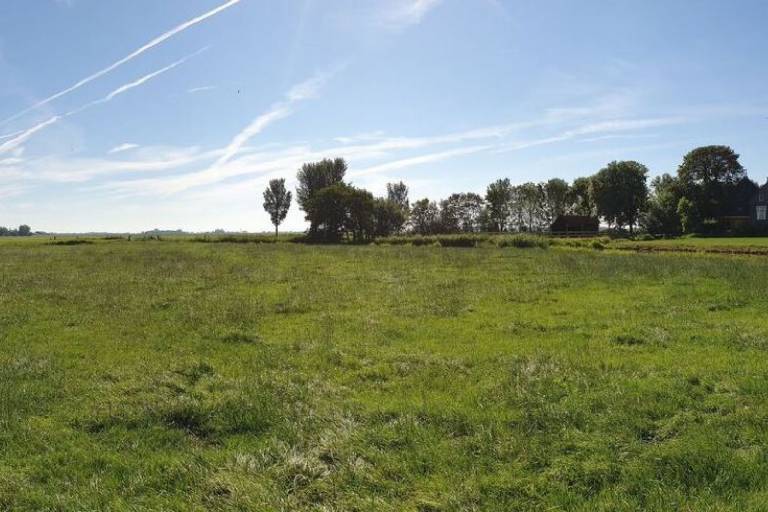 foto11