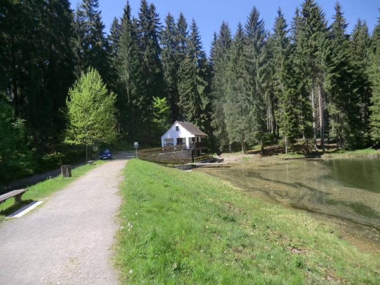 foto25