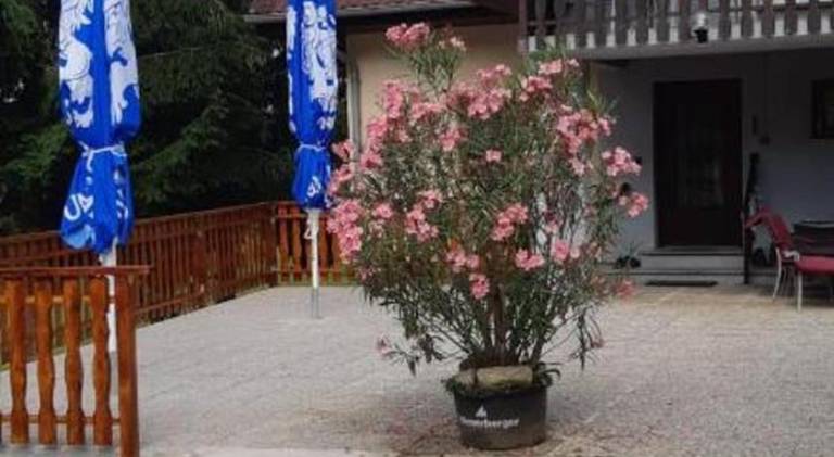 60 m² Ferienwohnung