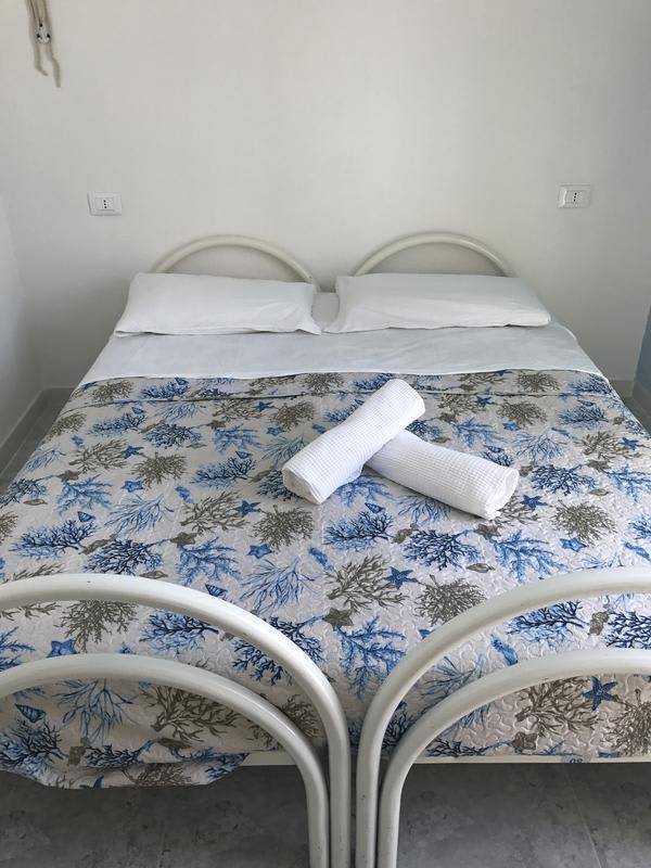 Ring Hostel — photo 4