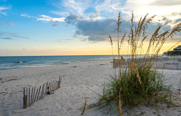 Vitamin Sea - 2606 Bienville — photo 2